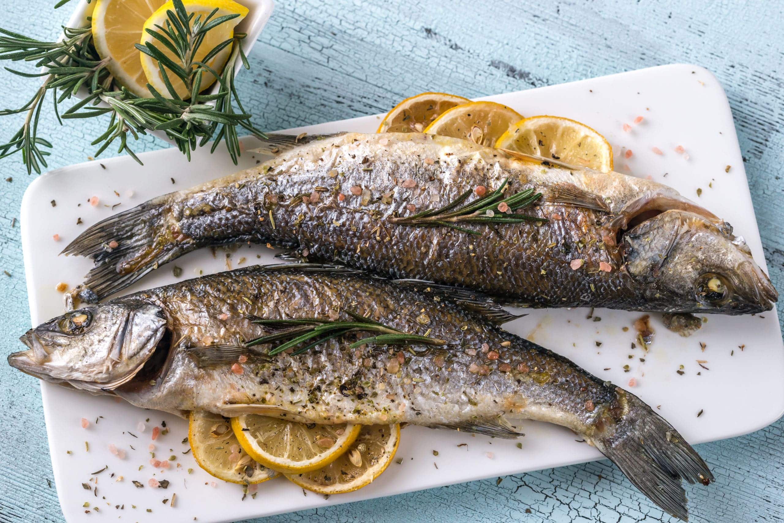 BIld vom Branzino (Fisch)